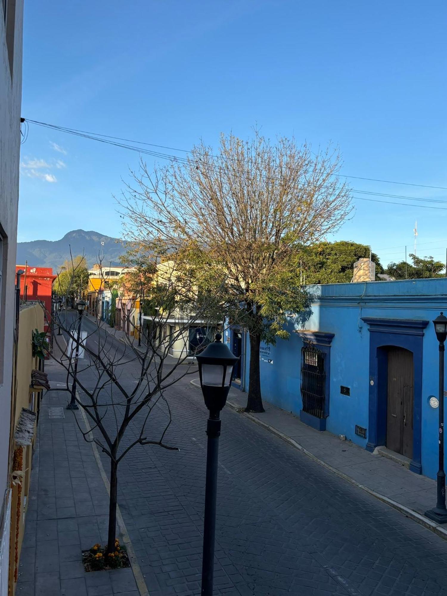 Departamento En El Centro De Oaxaca Lägenhet Exteriör bild